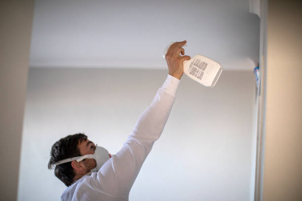 Best Mold Damage Repair  in Hillsville, VA