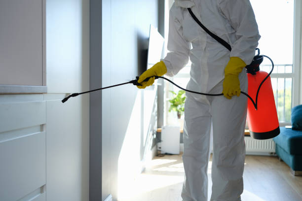 Best Mold Testing  in Hillsville, VA