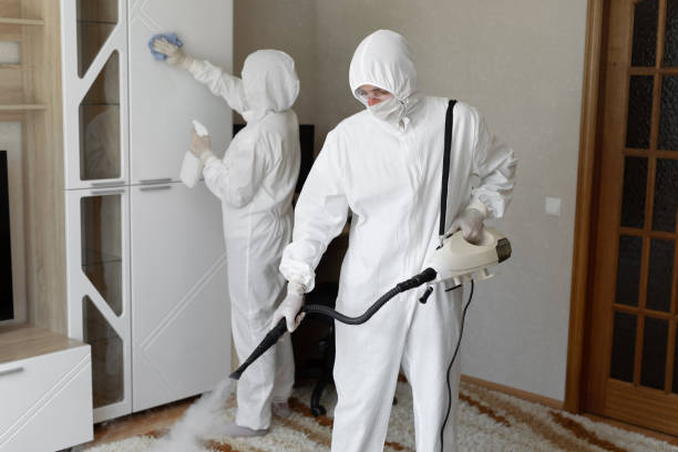 Best Mold Cleaning Services  in Hillsville, VA