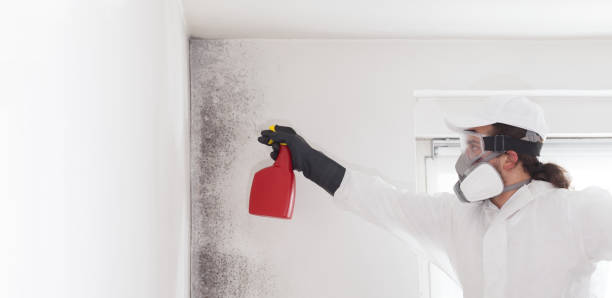 Mold Testing and Removal in Hillsville, VA